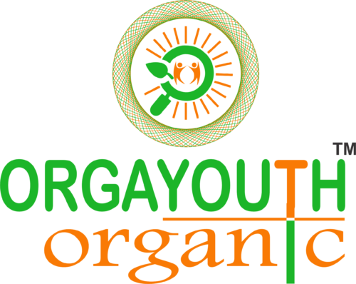 orgayouth Logo